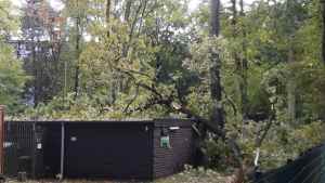 Der abgeknickte Baum knallte auf das Dach. | Foto: ein