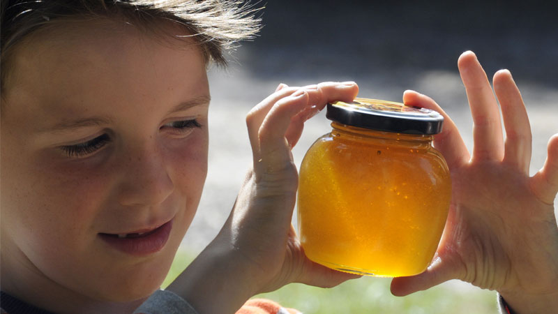 Honig - die süße Leckerei der Bienen. | Foto: FLMK