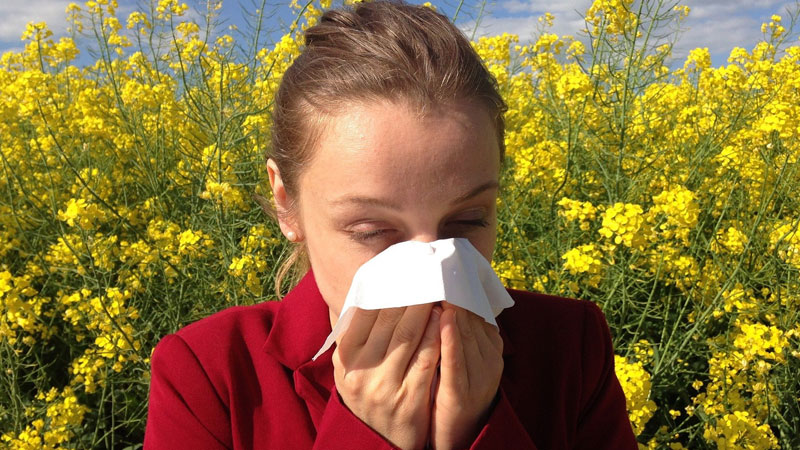 Das Kurieren der Symptome bei Heuschnupfen oder anderen Allergien bringt zwar eine vorübergehende Linderung, aber die Ursachen bleiben.
