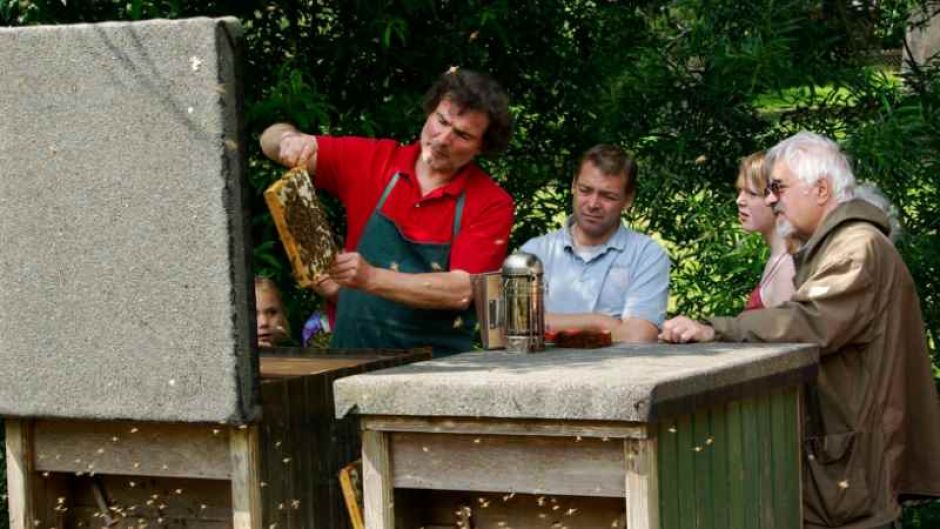 Im Kurs "Alles über Bienen und Honig" vermittelt der Museumsimker die Grundlagen über das Leben der fleißigen Insekten. | Foto: ein