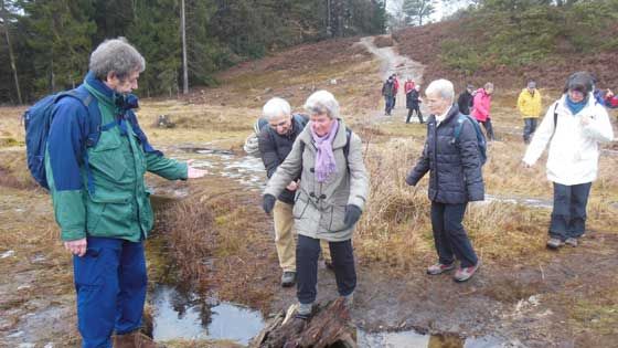 Die Wanderfreunde Hamburg mit Helga Weise aus Heimfeld trauen sich auch mal nach Niedersachsen und planen eine Wanderung vom Buchholzer Bahnhof auf den Brunsberg. | Foto: ein