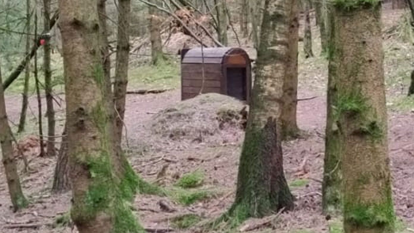 Die restaurierte Schatztruhe ist ein Glanzstück des Märchenwanderwegs in Jestebrug. | Foto: Gemeinde Jesterbug