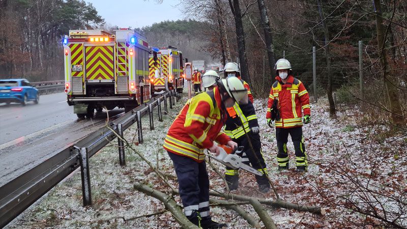 Die Feuerwehr Maschen beseitigte auf der A 39 diesen umgestürzten Baum. | Foto: Feuerwehr