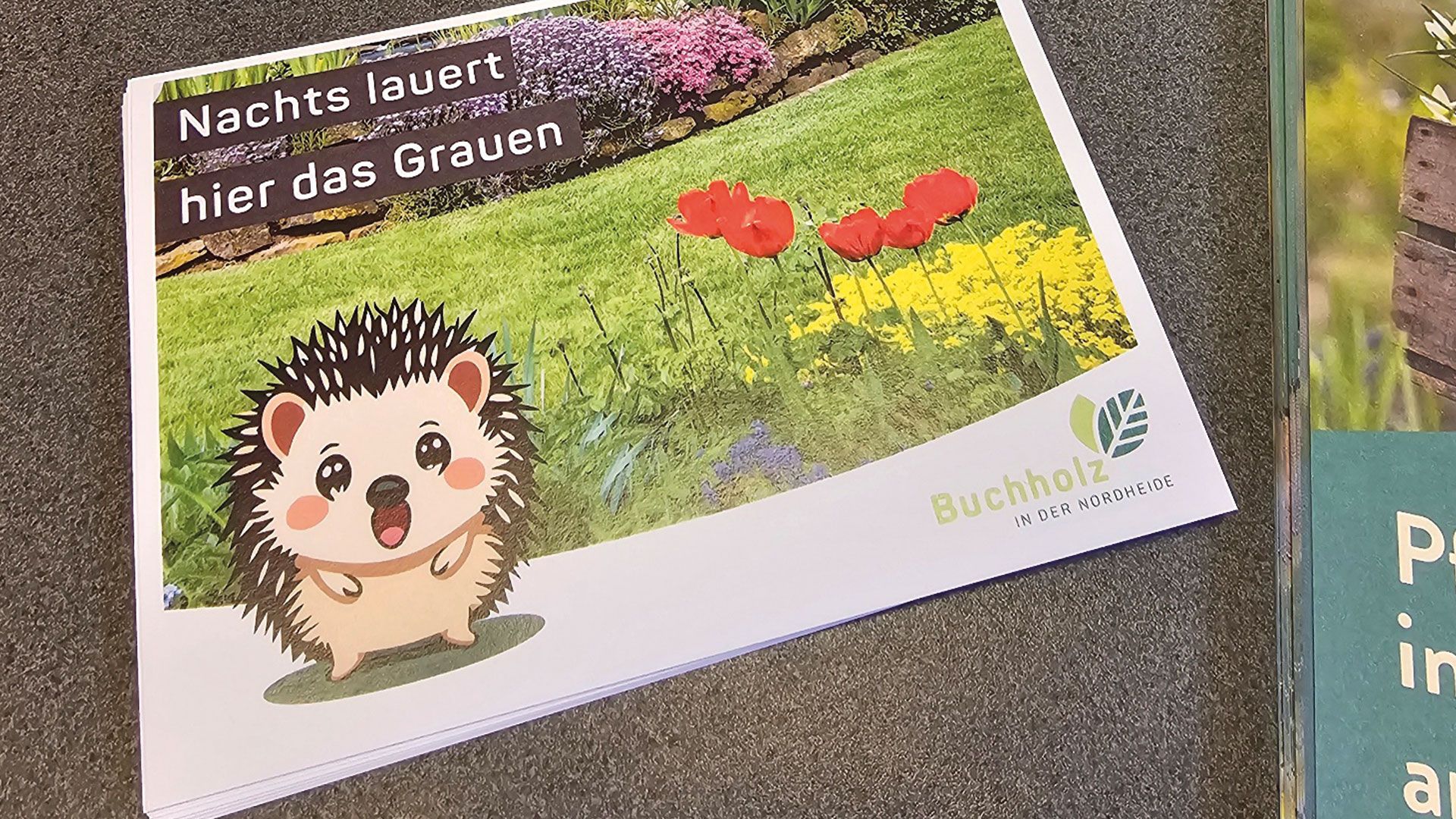 Buchholz startet Igel-Kampagne. | Foto: ein