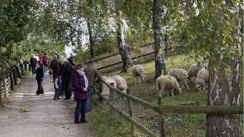 Langes Wochenende am Kiekeberg. | Foto: ein