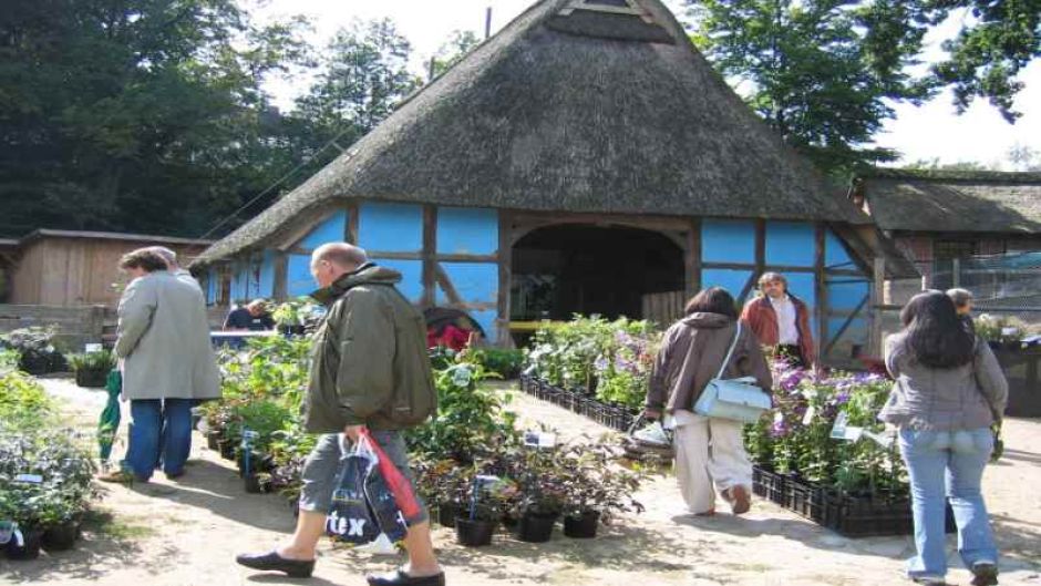 Sortenvielfalt am Kiekeberg Pflanzenmarkt am 13.+14.4.19 | Foto: ein