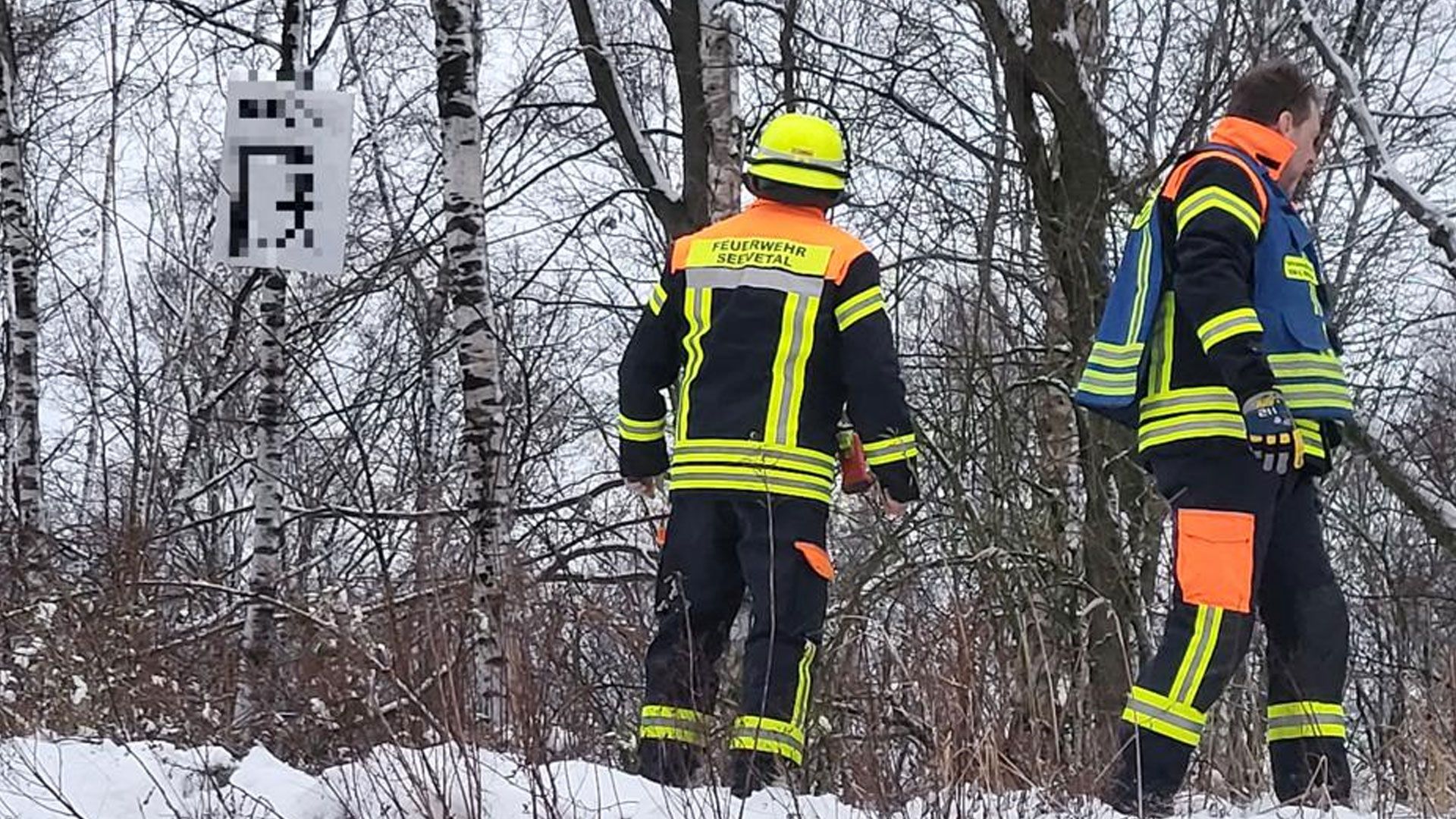 Ein Plakat rief am Samstag in Hittfeld zum Mord an Grünen auf. | Foto: ein