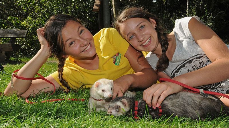 Ferienprogramm im Wildpark Schwarze Berge. | Foto: Wildpark Schwarze Berge