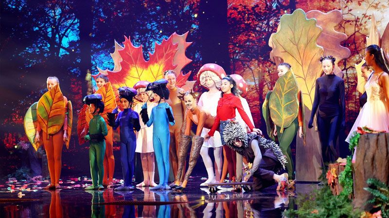 Große Auftritte sind die Tänzerinnen der HNT-Ballett-Compagnie und der HNT Irish Dance Academy gewöhnt. | Foto: RTL/ Frank W. Hempel