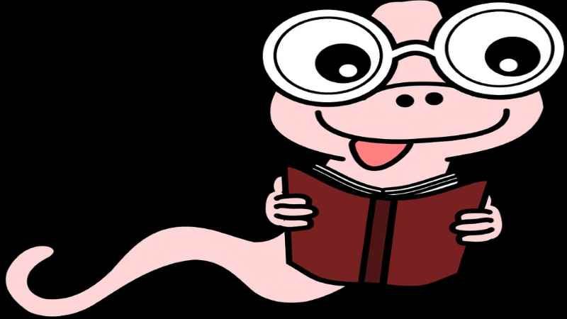Bücherflohmarkt für Leseratten. | Foto: ein