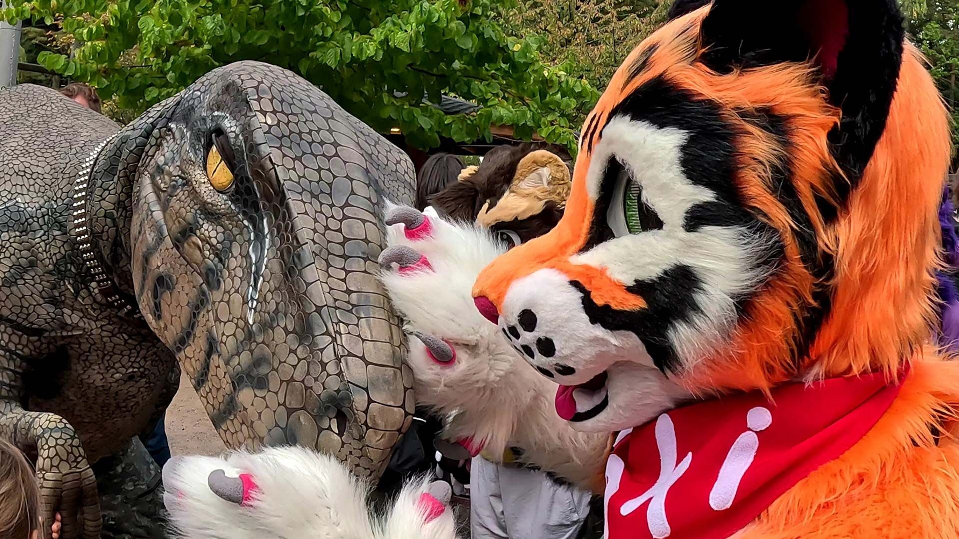 Lexi trifft Furries im Wildpark Schwarz Berge. Foto: Wildpark