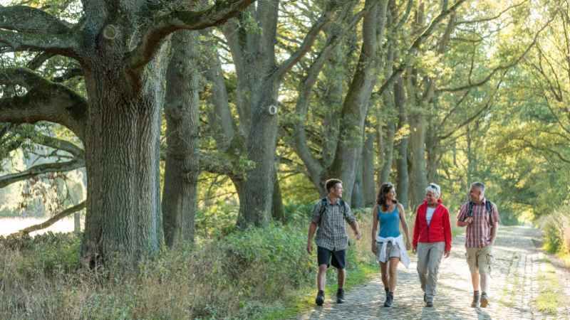 Heidschnuckenweg bei Wilsede. | Foto: ein