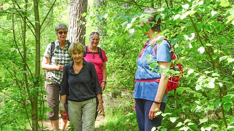 Die Wanderfreunde Hamburg mit Helga Weise aus Heimfeld an der Spitze als Teil des Deutschen Wanderverbands beteiligen sich wieder am „Tag des Wanderns“. | Foto: ein