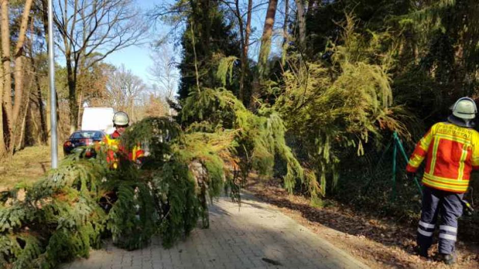 Wie hier im Horster Mühlenweg in Maschen waren überall im Landkreis Harburg Feuerwehren im Einsatz, um umgestürzte Bäume zu beseitigen. | Foto: ein
