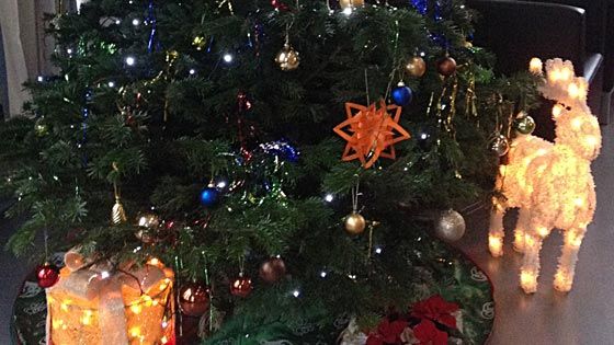 Für den  24. und für den 27. Dezember lädt das Nachbarschaftscafé AHOI in den weihnachtlich geschmückten Striepensaal ein. | Foto: DRK/hfr