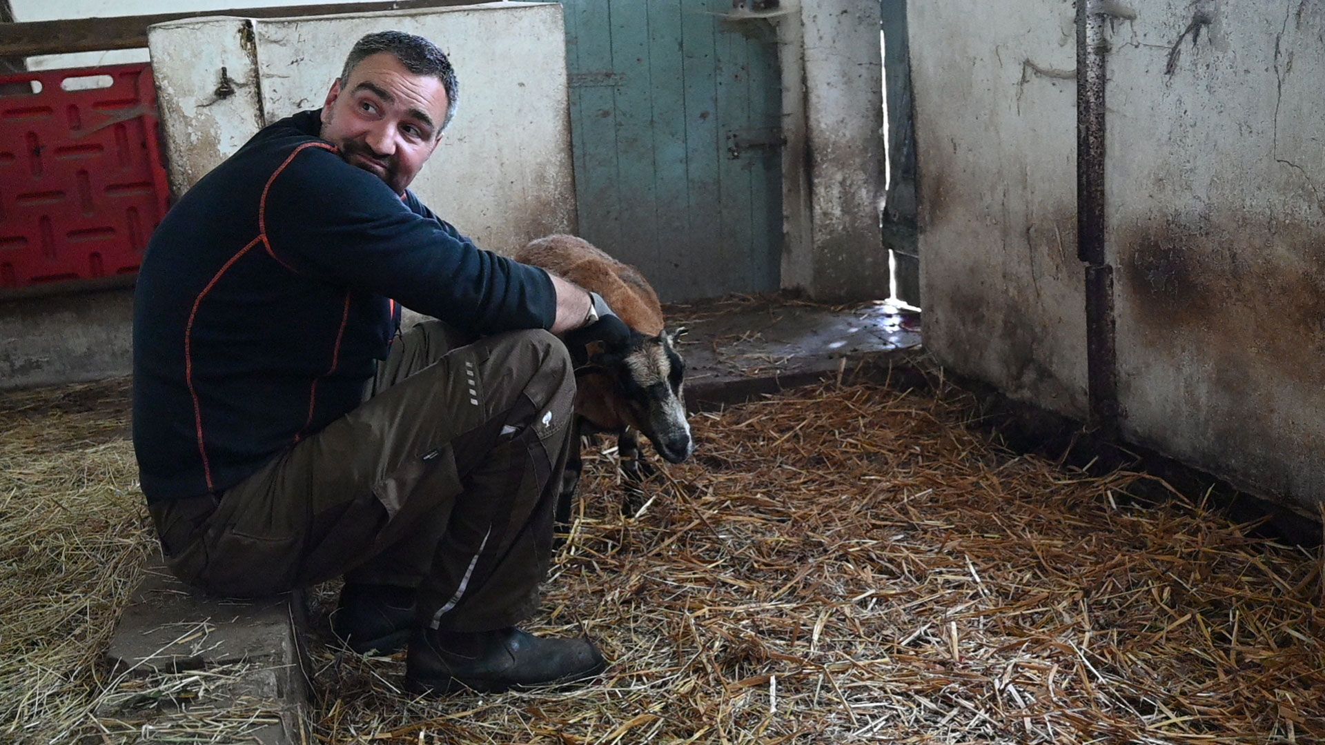 Auch Landwirt Marc Janz fragt sich nun: Ist der Wolf zurück. Foto: Lenthe-Medien