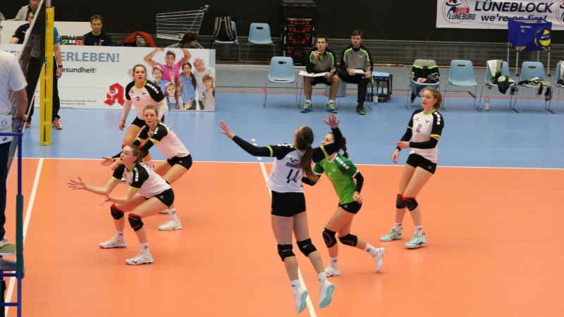 Volle Konzentration: Das Volleyball-Team Hamburg will gegen den TSV Tempelhof-Mariendorf mutig auftreten. | Foto: ein
