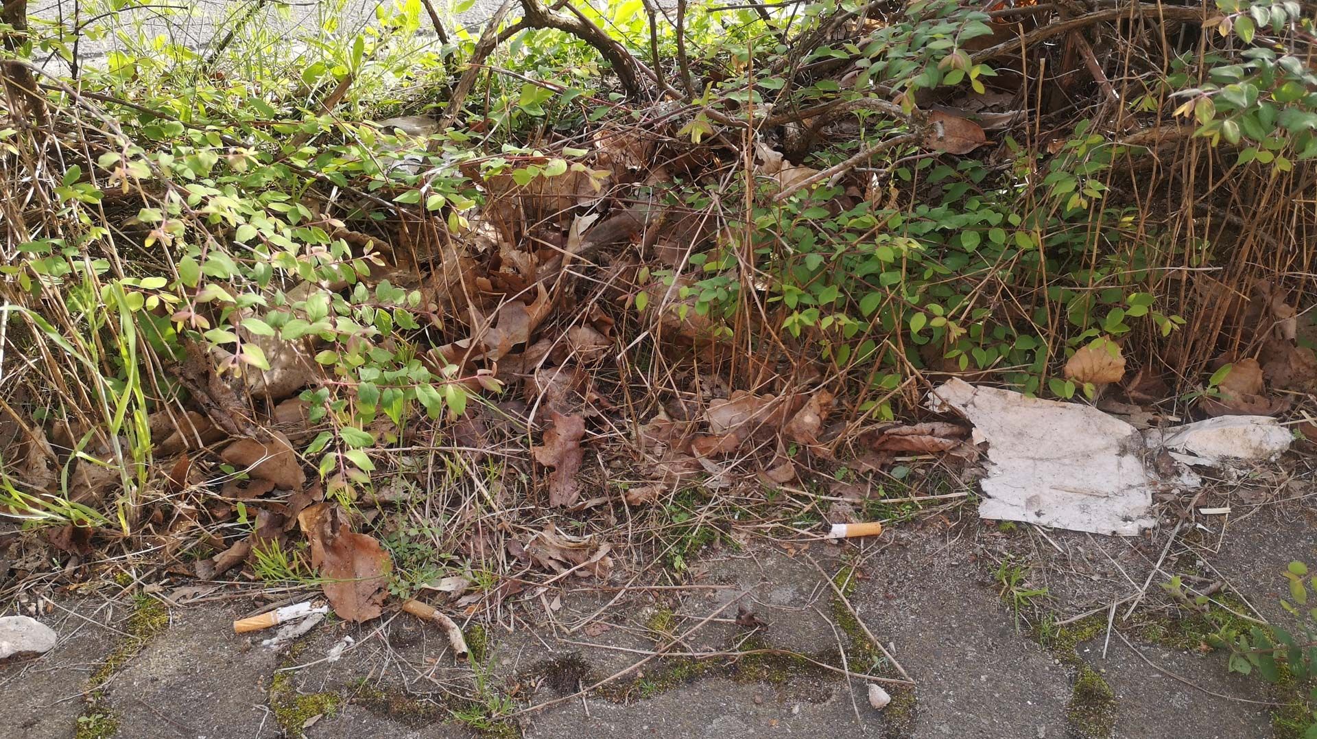 Müll auf dem Fußweg bei der Müllsammelaktion in Elstorf und Schwiederstorf. Foto: Babett Ohlen