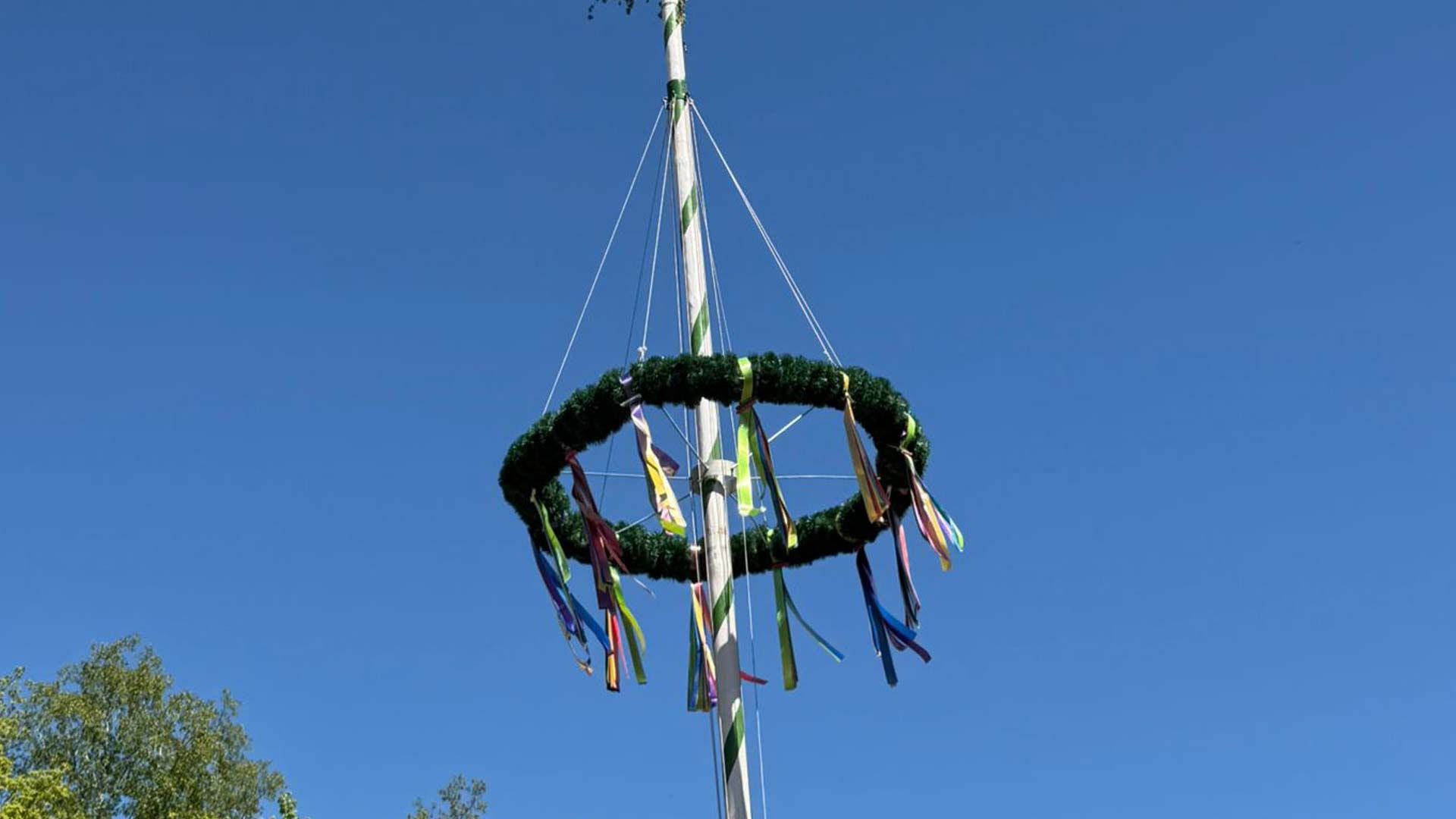 Thronte wieder über Marmstorf: der traditionelle Maibaum. Foto: Rainer Bliefernicht