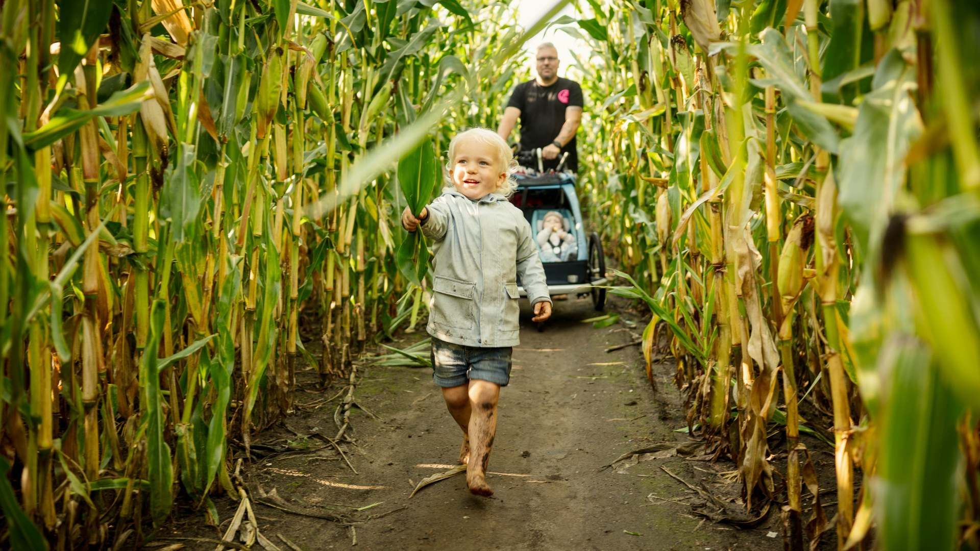 Hier ist Teamgeist gefragt: Gemeinsam arbeiten Besucher Hand in Hand, um den richtigen Weg durch die grünen Gassen zu finden.
