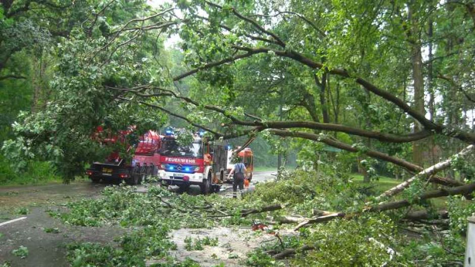 Allein in Maschen mussten neun Feuerwehren der Gemeinde Seevetal mehr als 80 Einsatzstellen abarbeiten, unzählige Bäume lagen auf Straßen, Wegen, Autos und Gebäuden. | Foto: ein