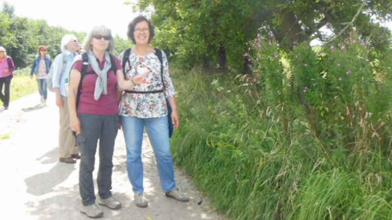 17 km wandern...Seien Sie dabei! | Foto: ein