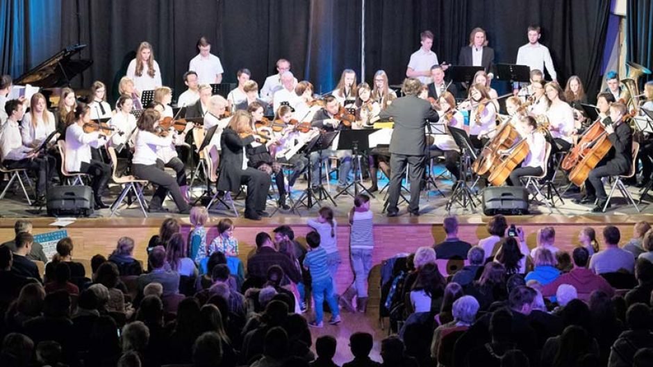 Das Sinfonieorchester der Musikschule wurde gerade mit dem Preis der Neu Wulmstorf-Stiftung ausgezeichnet. | Foto: ein