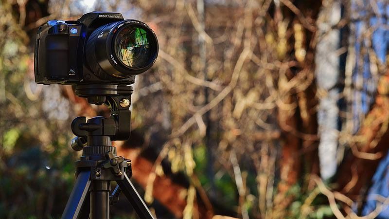 Preise im Gesamtwert von mehr als 1.000 Euro warten auf die Teilnehmer des Fotowettbewerbs der Foto-AG der Kulturstiftung Seevetal. | Foto: ein