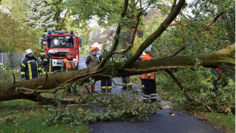 In allen Städten und Gemeinden des Landkreises Harburg waren die Feuerwehren über Stunden im Einsatz, um die Orkanschäden zu beseitigen. | Fotos: ein