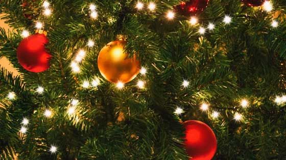 Am Samstag, 24. November 2018, sind alle Kinder eingeladen, in den Fraktionsräumen im Wallgraben 24 in Harburg schöne Weihnachtsfotos machen zu lassen. | Foto: ein