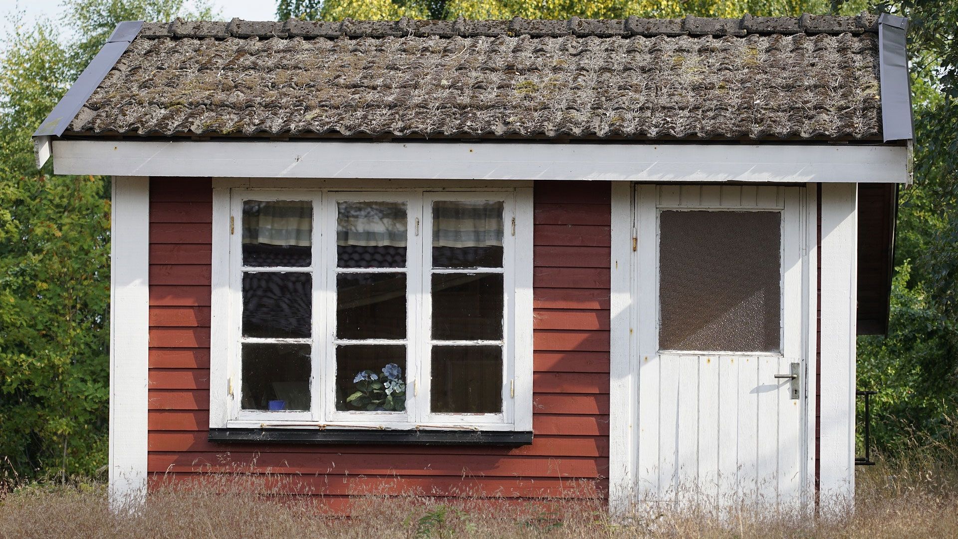 Die Gemeinde Seevetal läd zu einer Inforveranstaltung rund um den Bau von Tiny Häusern ein. | Foto: ein