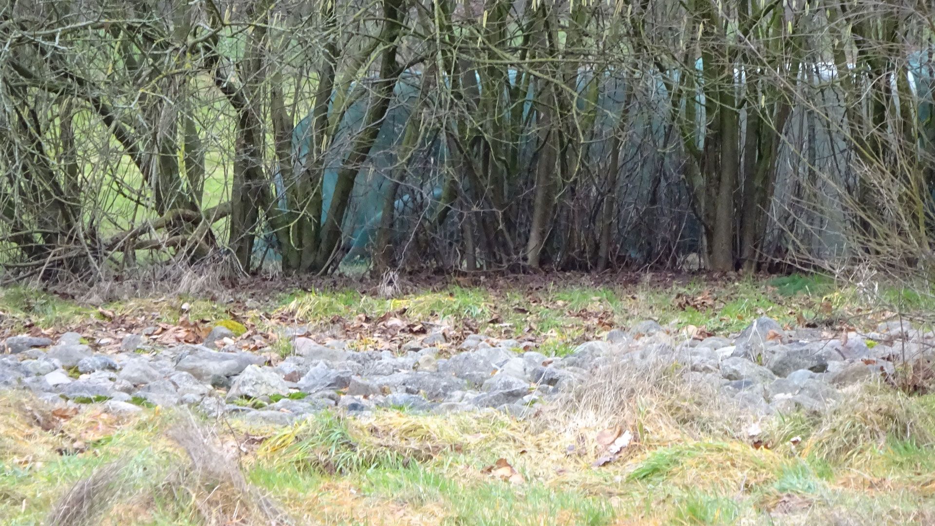 Von Heimfeld über Lürade nach Beckedorf geht die Wanderung. | Foto: ein