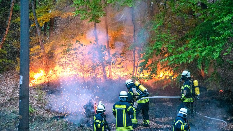 Wie hier in Jesteburg-Lülla gab es gestern mehrere Böschungsbrände im Landkreis Harburg. | Foto: JOTO