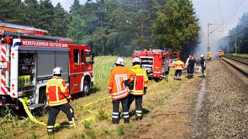 Sieben Feuerwehren waren bei diesem Waldbrand wischen Maschen und Stelle am Donnerstag im Einsatz. Fotos: ein/Remon Hirschmeier/FF Ohlendorf