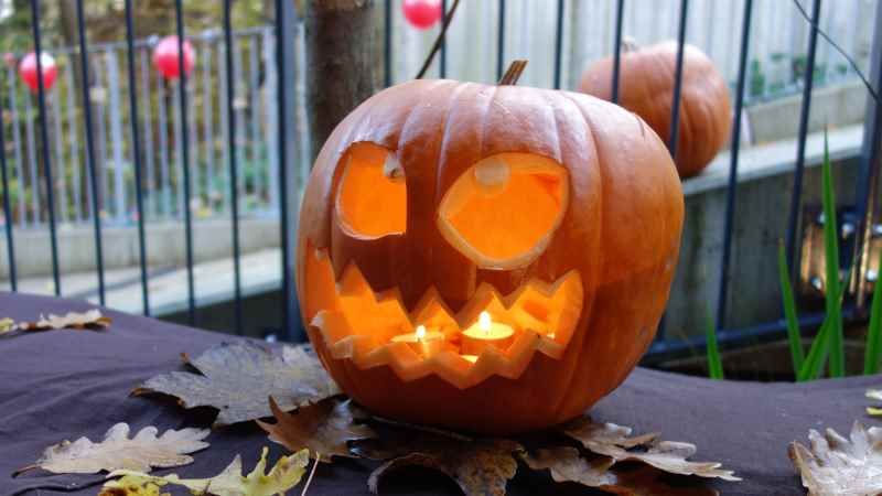 Beim Laternenfest in der DRK-Kita Harburger Berge am Sonnabend, 3. November, leuchten die Halloween-Kürbisse mit Laternen und anderen Lichtern um die Wette. | Foto: ein