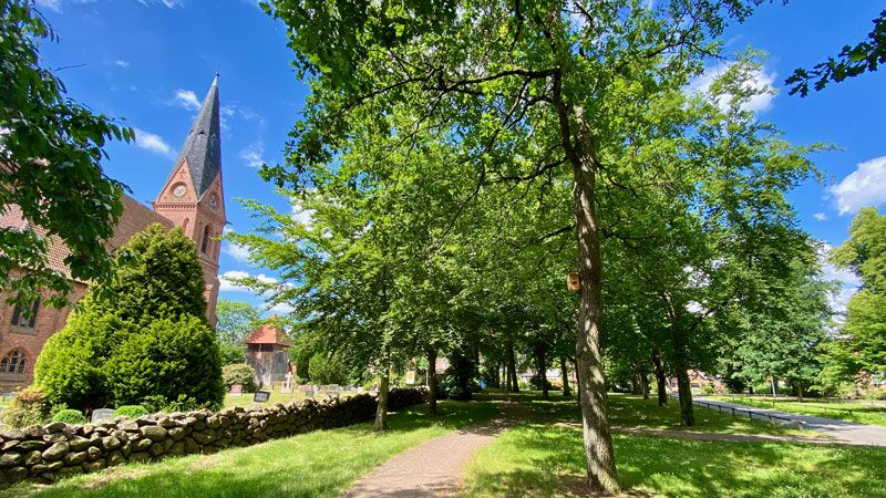 Auf dem Domplatz vor der Kirche in Ramelsloh wird der Festgottesdienst gefeiert. | Foto: C. Wöhling