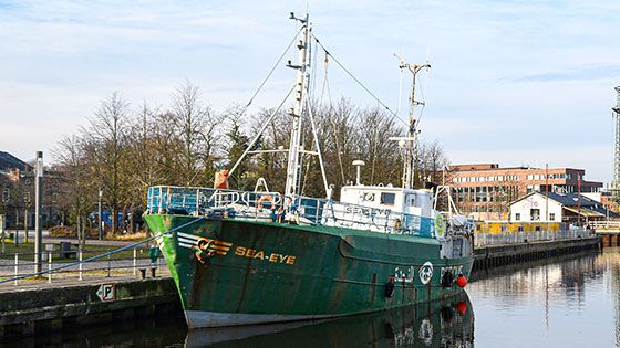 Die Sea Eye nimmt im Harburger Binnenhafen an den drei kommenden Sonntagen Hilfsgüter für Flüchtlinge auf den griechischen Inseln entgegen. | Foto: Niels Kreller