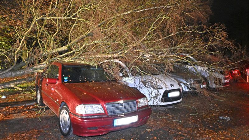 In Rönneburg stürzte ein Baum auf gleich vier parkende PKW. | Foto: HamburgNews