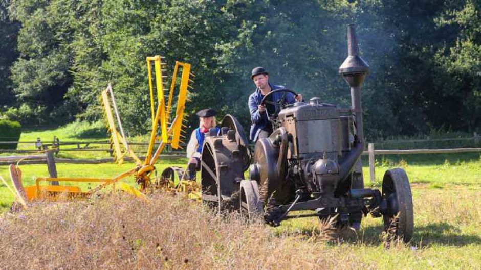 Bäuerlicher Erntetag im Freilichtmuseum am Kiekeberg | Foto: ein