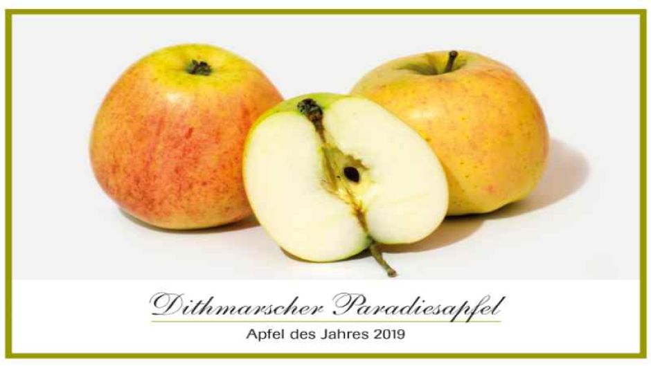 Postkarte Dithmarscher Paradiesapfel. | Foto: ein