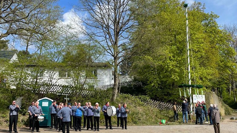 Der traditionelle Maibaum der Schützen ziert wieder den Marmstorfer Ortskern. | Foto: ein