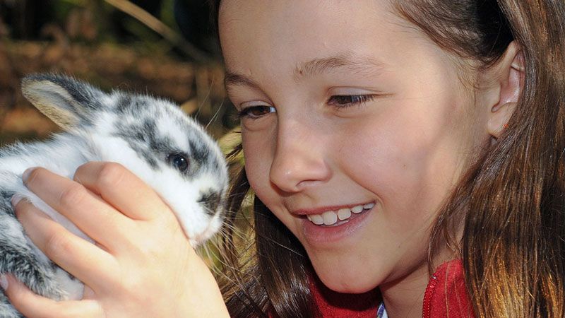 Kids ab sechs Jahren können beim „kleinen Tierpfleger“ Kaninchen füttern, ausmisten und zur Belohnung eine ausgiebige Streichelrunde genießen. Foto: Wildpark Schwarze Berge