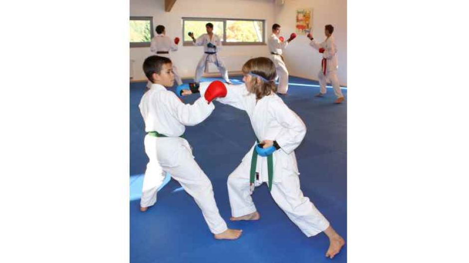 „Karate“ mit unserem Spitzen-Mann Martin Weber,  der schon viele Meisterschaften gewonnen hat, auch bei DM-Wettbewerben  In den Kursen tragen die Teilnehmer aber "zivile" Kleidung. | Foto: ein