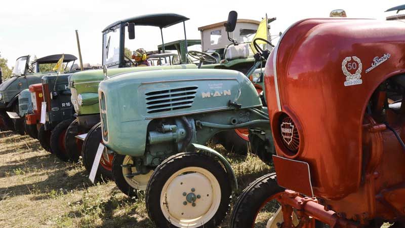 Am Wochenende findet wieder das traditionelles Traktorentreffen im Freilichtmuseum am Kiekeberg mit Motorsägent-Treffen statt. | Foto: FLMK