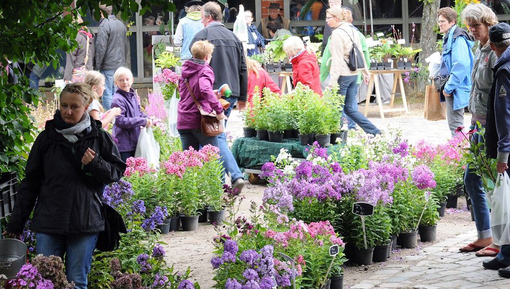 Sommerblumen und Kunsthandwerk beim Pflanzenmarkt im Freilichtmuseum am Kiekeberg. | Foto: FLMK