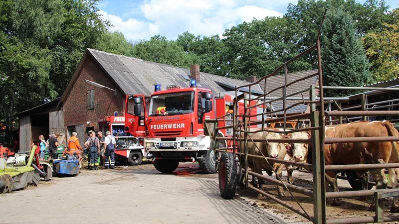 Drei Feuerwehr-Teams waren bei einem Stallbrand in Groß-Todtshorn im Einsatz und verhinderten erfolgreich einen Großbrand. | Foto: ein/Feuerwehr