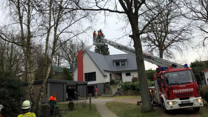 Umgestürzte und/oder gefährliche oder auf Hausdächernliegende Bäume waren allerorts im Landkreis Harburg abzuarbeiten. Die Feuerwehren waren bis in den Montagvormittag hinein im Einsatz, um die Sturmschäden zu beseitigen. | Foto : ein