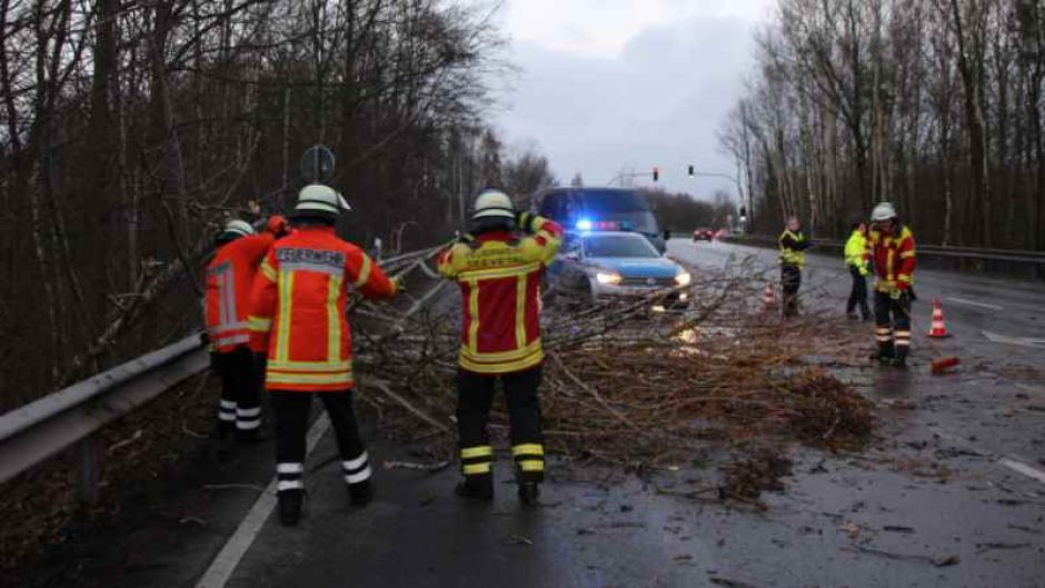 Die Feuerwehr Hittfeld beseitigte diesen umgestürzten Baum auf der Landesstraße L 213 kurz vor der Autobahnanschlussstelle Fleestedt.  | Foto: ein