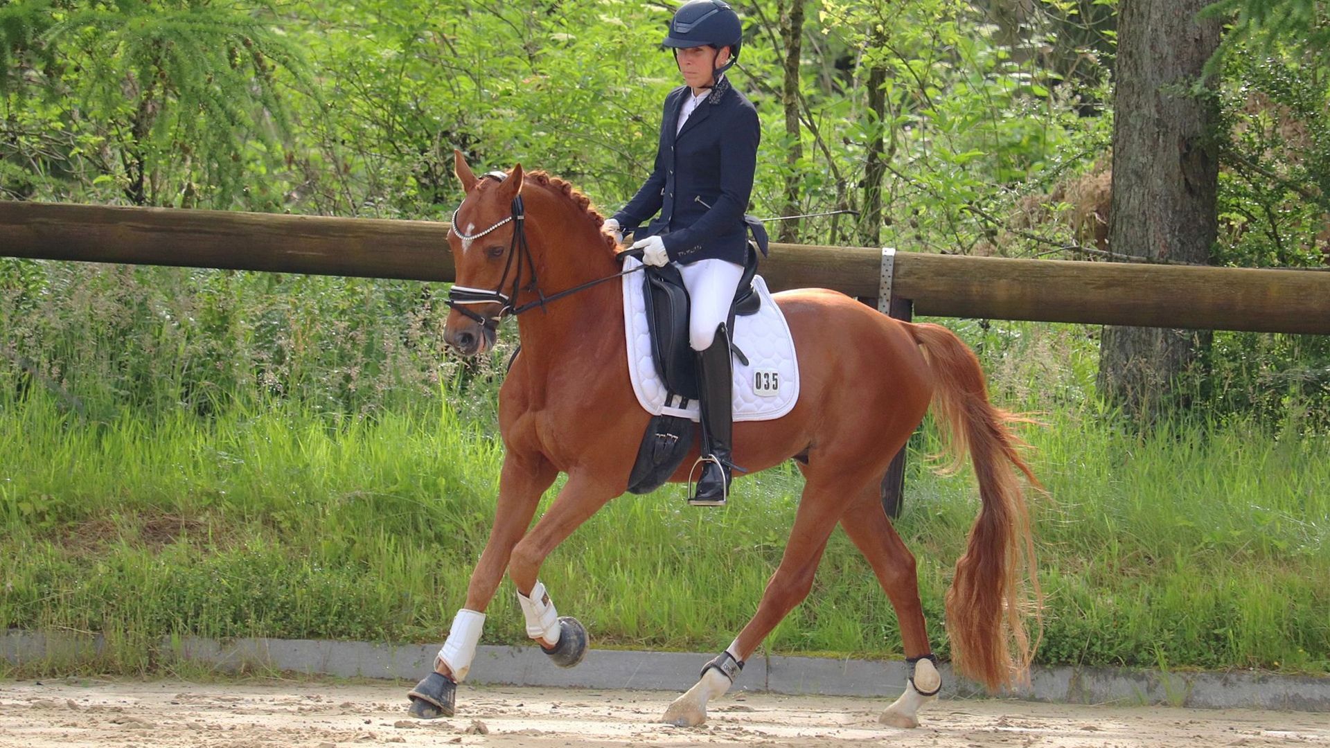 Nicole Schulz mit ihrem Hengst Pony Checkpoint Charly startet in L-Dressuren.  Foto: RFS