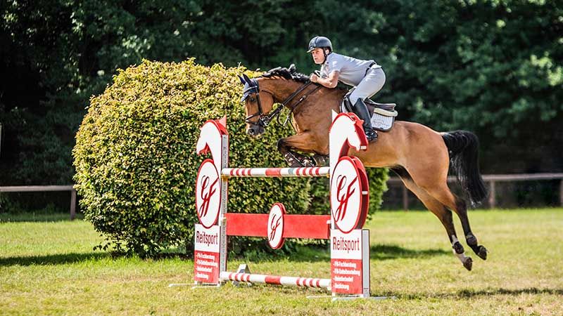 Steffen Engfer setzte seine Siegesreihe fort: Zum dritten Mal in Folge gewann er das S* Springen mit Stechen im Harburger Reitverein. | Foto: ein